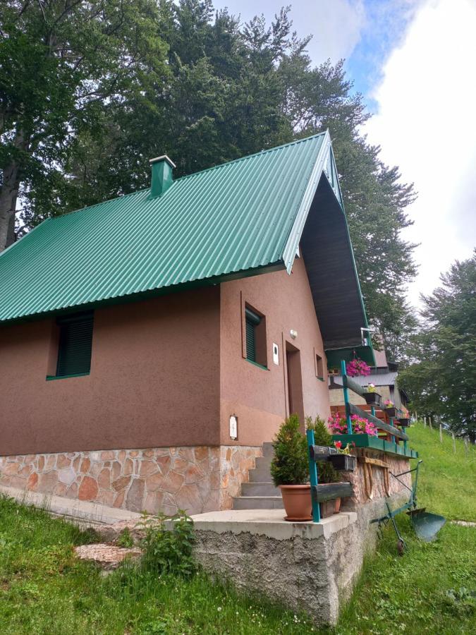 Vila Darija Žabljak Exterior foto
